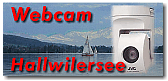 Webcam Logo